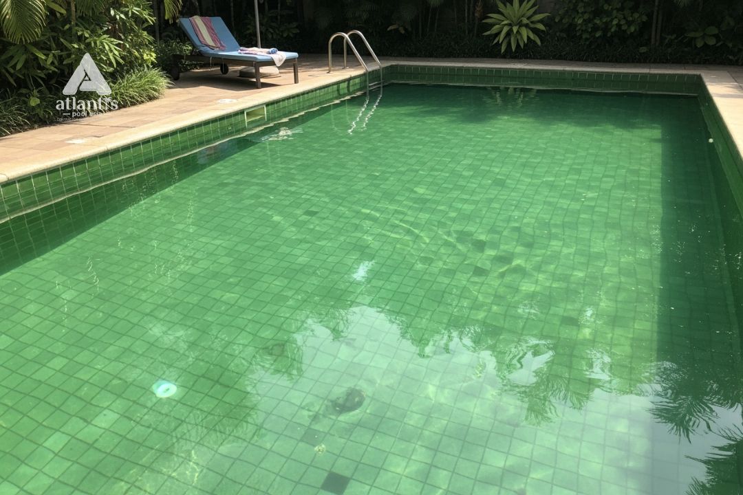 Cara Membersihkan Lumut di Dasar Kolam Renang